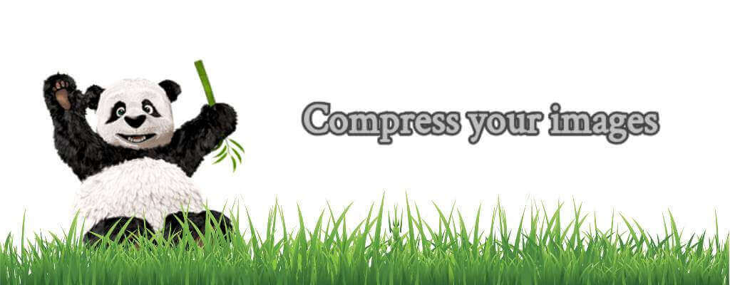 Compress your images - WordPress website load faster